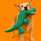 Louie the Gator
