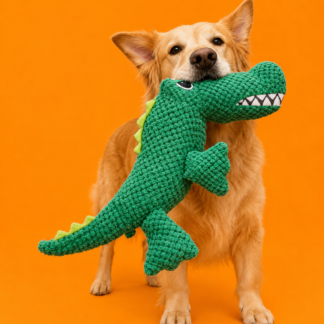 Louie the Gator
