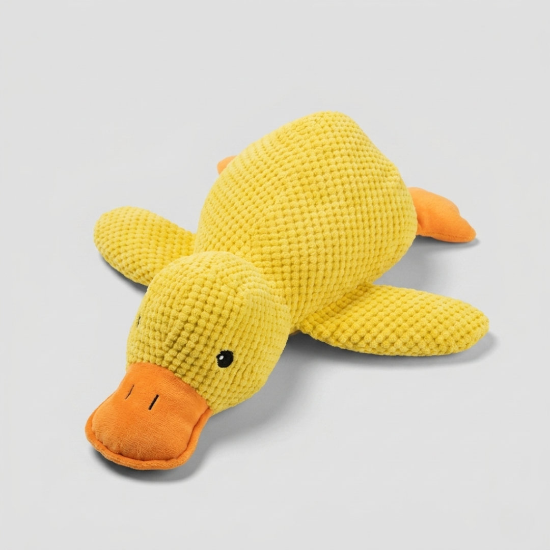 Benny the Duck