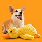 Benny the Duck