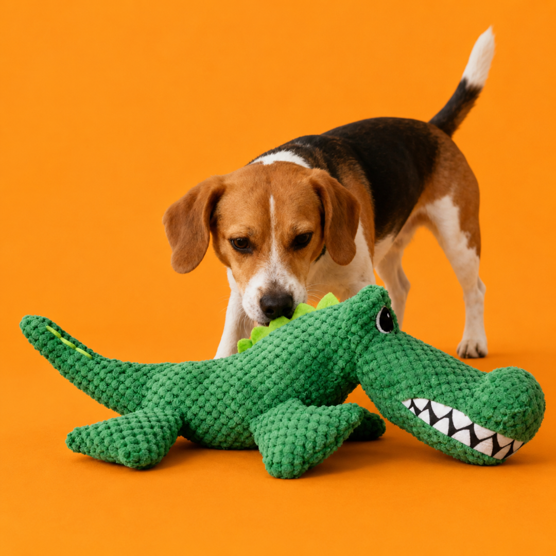 Louie the Gator