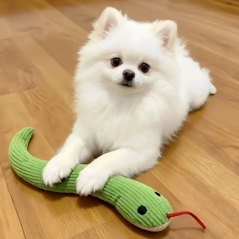 Slinky the Snake