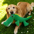 Louie the Gator